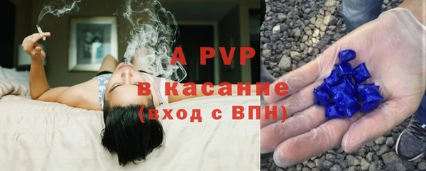 ГАЛЛЮЦИНОГЕННЫЕ ГРИБЫ Богданович