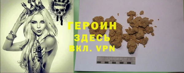 хмурый Белокуриха