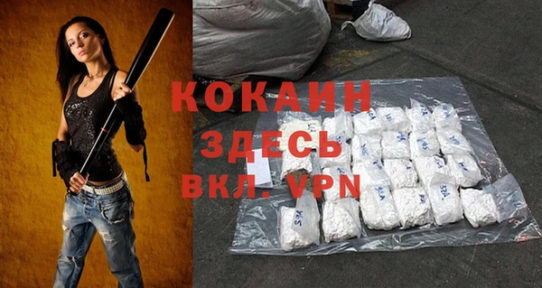 ГАЛЛЮЦИНОГЕННЫЕ ГРИБЫ Богданович