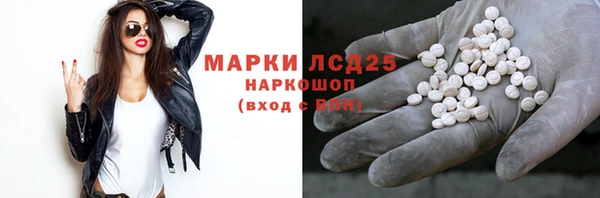 стафф Сатка