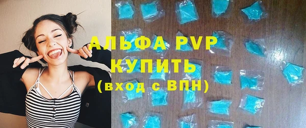 ГАЛЛЮЦИНОГЕННЫЕ ГРИБЫ Богданович